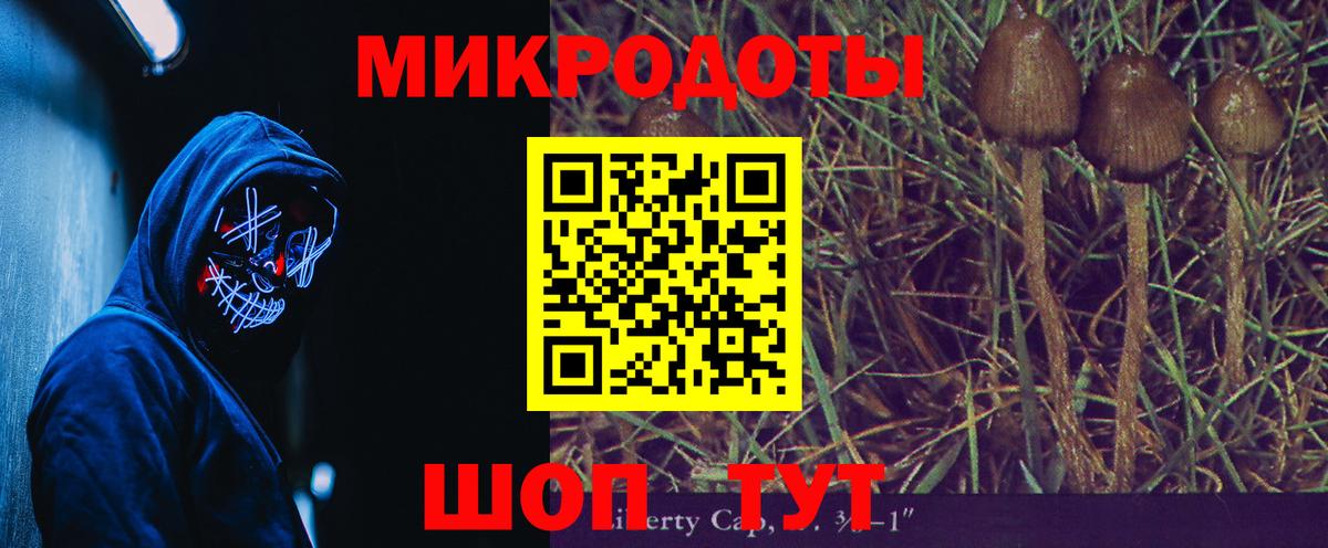 Пыть-Ях  наркотики  Вход с VPN  Галлюциногенные грибы мухоморы 